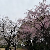 Photo taken at Kitanomaru Park by にしの シ. on 4/5/2024