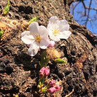 Photo taken at Shimoigusa Library by Kazu 5. on 3/21/2019