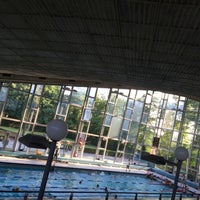 Piscine Longchamp Zwembad 15 Conseils De 484 Visiteurs