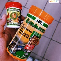 Maxi Pet Dristor BucureÈ™ti BucureÈ™ti