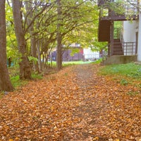 Photo taken at Hokkaido University Library by あろさわ き. on 10/18/2018