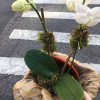 10/22/2017にNicole W.がJerome Floristで撮った写真