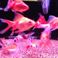 Okinawa Bianco 新都心 1 Tip