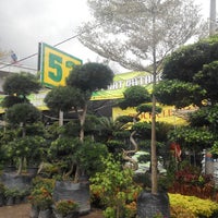 Photos At Sin Nursery Lot 53 Jalan Kampung Melayu Subang Furniture Home Store