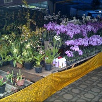 Taman Anggrek Indonesia Permai Makasar Jakarta Jakarta