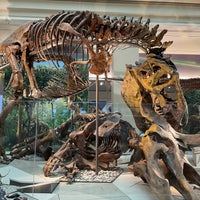 Photo taken at Dinosaurs/Hall of Paleobiology Exhibit by Zihao Y. on 9/18/2022