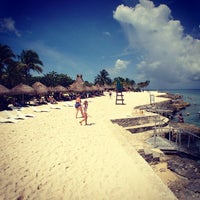  Chankanaab Park - 68 reviews from 2527 visitors