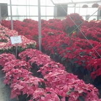 Great Swamp Greenhouses Gillette Nj Photo Taken At Great Swamp Greenhouses By Jewel S On 12 23 2017