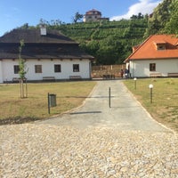 Photo taken at Modřanská vinice by Karolína B. on 7/26/2015