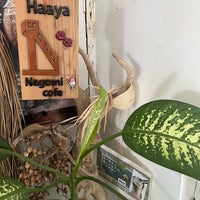 Photo taken at HaaYa nagomi-cafe by ぺいとん on 5/12/2024