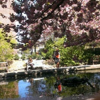 Photo taken at Brooklyn College Lily Pond by Eszter H. on 5/1/2013