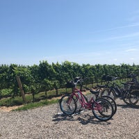 Photo taken at Pondview Estates Winery by Mabel A. on 8/3/2019