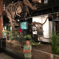 houston sugar land museum science natural
