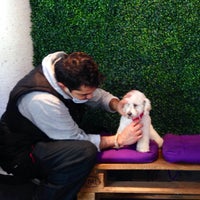 3/12/2014にNoninos Pet Salon ®がNoninos Pet Salon ®で撮った写真
