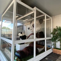 Photo taken at Giant panda by かず on 7/7/2022