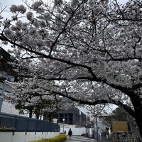 4/4/2024にかずが江戸東京博物館で撮った写真