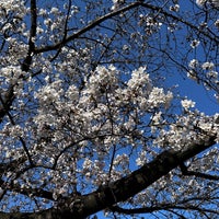 Photo taken at Edo-Tokyo Museum by かず on 4/1/2024