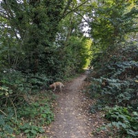 Photo taken at Thames Path by Eric R. on 9/16/2023