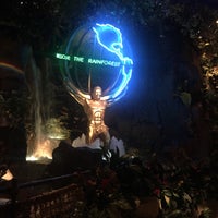 Photo taken at Rainforest Cafe by K M. on 12/21/2016