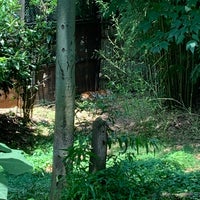 Photo taken at Sumatran Tiger Exhibit by Andrew M. on 7/3/2020
