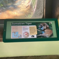 Photo taken at Sumatran Tiger Exhibit by Andrew M. on 7/16/2023