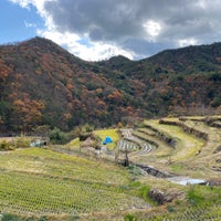 中山千枚田 7 Tips From 372 Visitors 中山千枚田 7 Tips From 372 Visitors