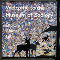 1/29/2019にJaroslaw M.がCambridge University Museum Of Zoologyで撮った写真