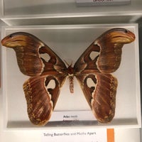 Das Foto wurde bei Cambridge University Museum Of Zoology von Jaroslaw M. am 1/29/2019 aufgenommen