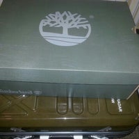 ecco timberland