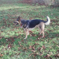 Photo taken at Topaz Park by Andrew L. on 11/5/2012