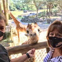 12/30/2020 tarihinde Doug T.ziyaretçi tarafından Brevard Zoo'de çekilen fotoğraf