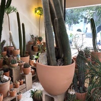 รูปภาพถ่ายที่ Cactus Store โดย Matt W. เมื่อ 10/6/2018