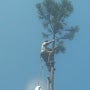 Photo taken at The Whole 9 Tree Service by The Whole 9 Tree Service on 3/25/2014