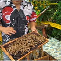 Снимок сделан в Big Bee Farm (Phuket) пользователем Mohammad 10/29/2023