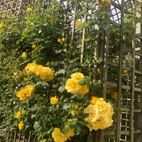 Photo taken at Jardin Anne Frank by Thais B. on 5/25/2019