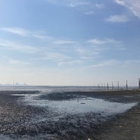 久津間海岸 Spiaggia In 木更津市 久津間海岸 Spiaggia In 木更津市