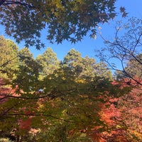 Photo taken at Shiroyama Chaya by tounoshi a. on 11/22/2023