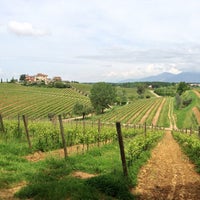 Foto diambil di Poggio al Casone wine resort oleh Vlad V. pada 5/6/2013