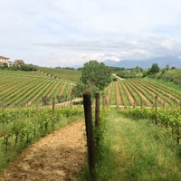5/6/2013 tarihinde Vlad V.ziyaretçi tarafından Poggio al Casone wine resort'de çekilen fotoğraf