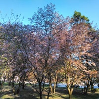 Photo taken at Japanilaistyylinen puutarha Noroshiyama by Nuutti H. on 5/12/2019