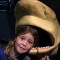 Photo taken at Oklahoma Aquarium by Kellye G. on 8/31/2019