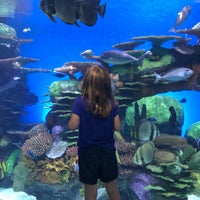 Foto tirada no(a) Oklahoma Aquarium por Kellye G. em 8/31/2019