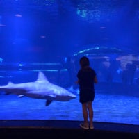 Photo taken at Oklahoma Aquarium by Kellye G. on 8/31/2019