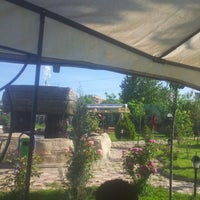 Tulip Park Diyarbakır