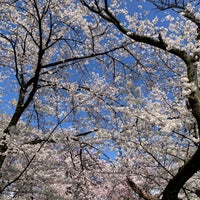 Photo taken at Koishikawa Botanical Gardens by すみれ 桃. on 4/7/2024
