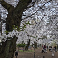 Photo taken at 桜山 by くりあー on 4/7/2024