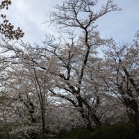 Photo taken at 桜山 by くりあー on 4/7/2024