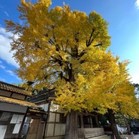 Photo taken at 蓬莱山 清荒神清澄寺 by mom on 11/15/2022