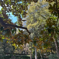 Photo taken at Sarah P. Duke Gardens by Jodi B. on 10/29/2023