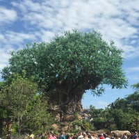 Photo taken at Disney&amp;#39;s Animal Kingdom by Kurst H. on 7/30/2018